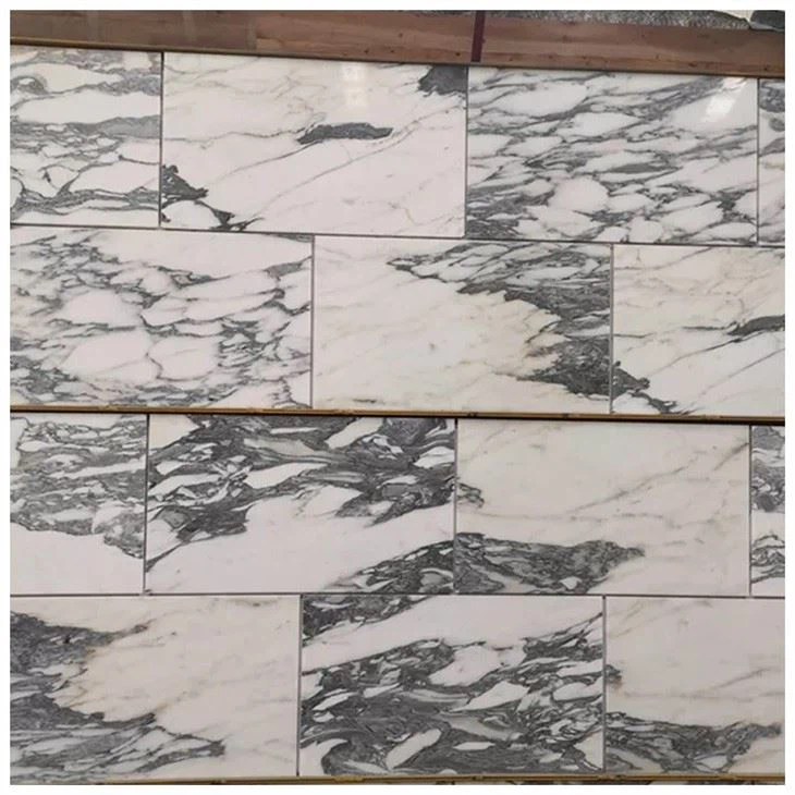 Arabescato Corchia  Marble Floor Tiles