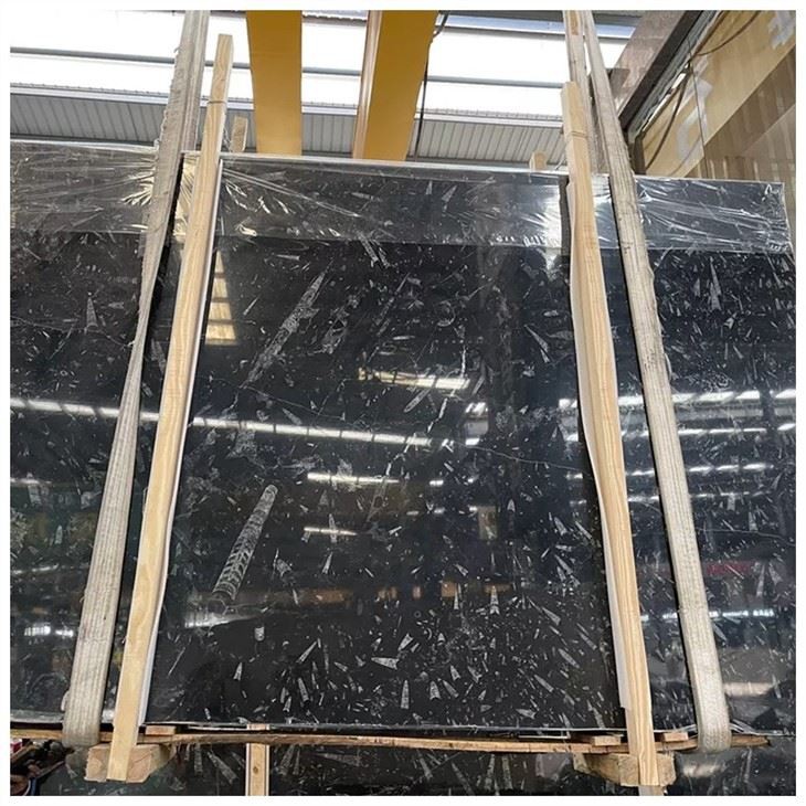 Black Fossil Marble Slabs