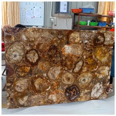 Versteinerte Holzplatte